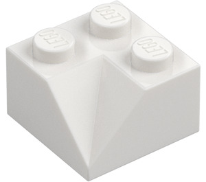 LEGO Con pendiente 2 x 2 (45°) con Doble Concave (Superficie rugosa) (3046 / 4723)