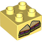 Duplo Ladrillo 2 x 2 con Sandwiches (3437 / 19343)