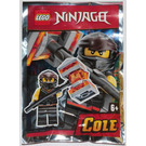 LEGO Cole 891953