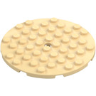 LEGO Placa 8 x 8 Circular Círculo (74611)