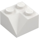 LEGO Con pendiente 2 x 2 (45°) con Doble Concave (Superficie rugosa) (3046 / 4723)