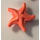 LEGO Coral Friends Accesorios Estrella de mar / Sea Star