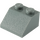 LEGO Gris piedra oscuro Pendiente 2 x 2 (45°) (3039 / 6227)