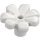 LEGO Blanco Flor con Squared Pétalos (sin refuerzo) (4367 / 32606)